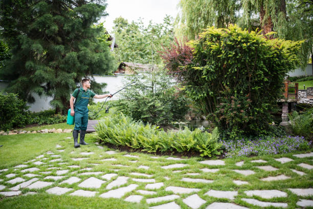 Best Wasp Removal Services  in Agency Village, SD